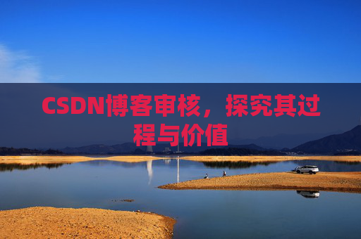 CSDN博客审核，探究其过程与价值